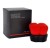 SHISEIDO   HANATSUBAKI HAKE POLISHING FACE BRUSH   Pędzel do pudru