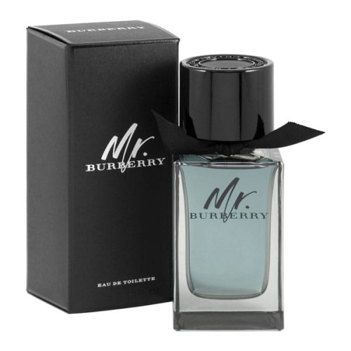 Burberry Mr. Burberry Woda toaletowa męska 100 ml