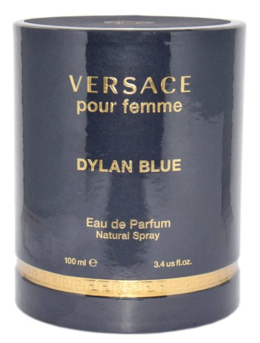 Versace Dylan Blue Woda toaletowa damska 100 ML