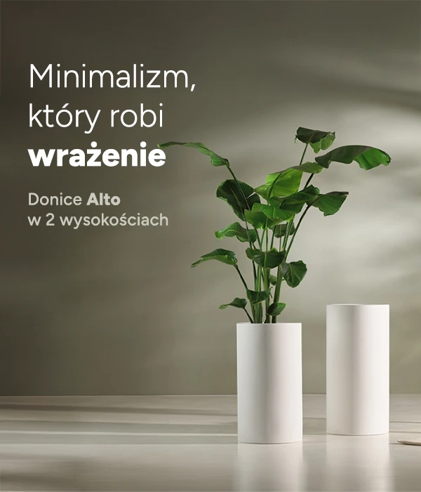 Zdjęcie slajdu