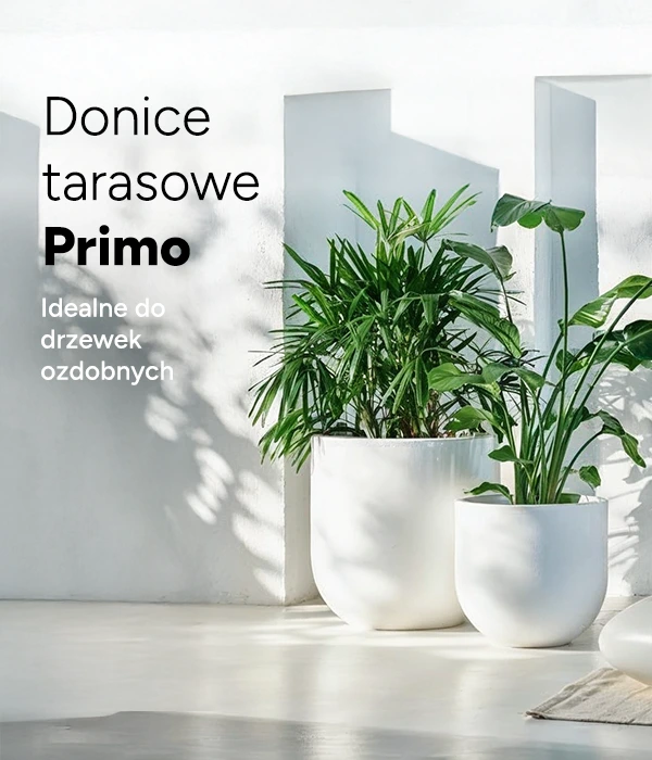 Zdjęcie slajdu